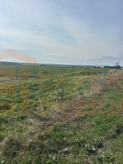 Teren intravilan 10.000 mp | DN | in Zona Volvo - Hala Neagră