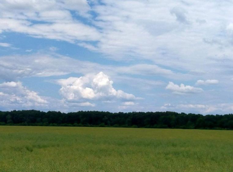 MOARA VLASIEI TEREN 12700 IDEAL INVESTITIE