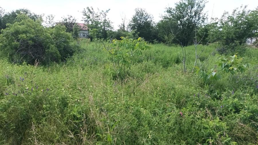 Domnesti, teren intrav 828/24, strada Doinei, bun duplex, utilitati,  46368 euro