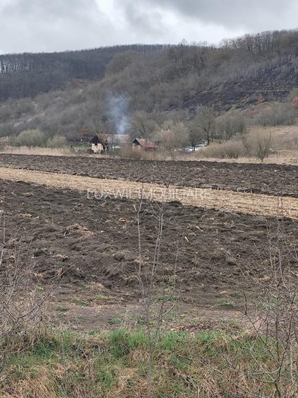 Vânzare teren în GIULA - 3