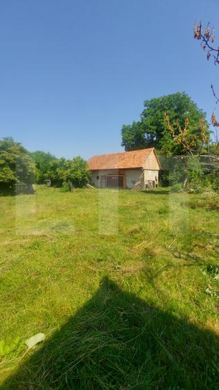 Casa + teren intravil, 3.6 ha I Zagon I Potential turistic si investitional