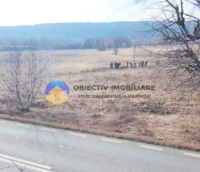 TEREN intravilan 3035 mp – BODEȘTI, judetul Neamț - 6