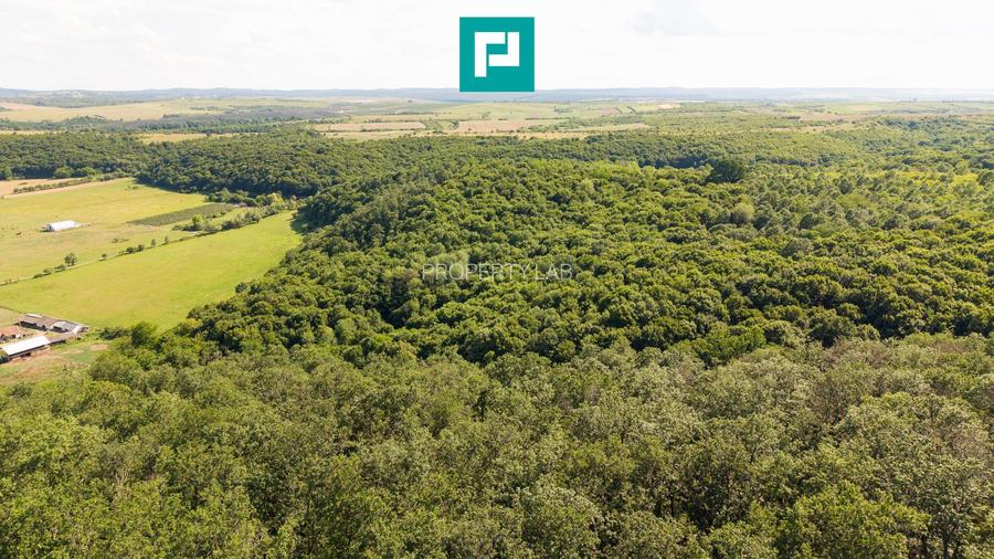 TEREN AGRICOL EXTRAVILAN  22.900 MP LIPOVA - 9