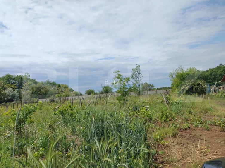 Teren intravilan, 987 mp, deschidere 19,5 m, Mânăstire Cârcea - 4