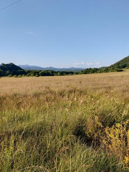 Vața TermalSpa.Transilvania.Drumul Regelui.