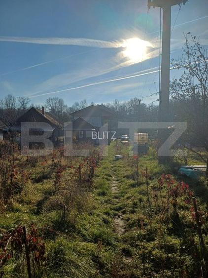 Casa + 20 arii  teren, distanta  30 km de Bistrita - 5