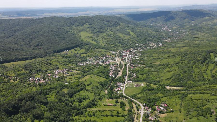 Teren spectaculos cu padure, livada si priveliste panoramica in Soimari PH - 10