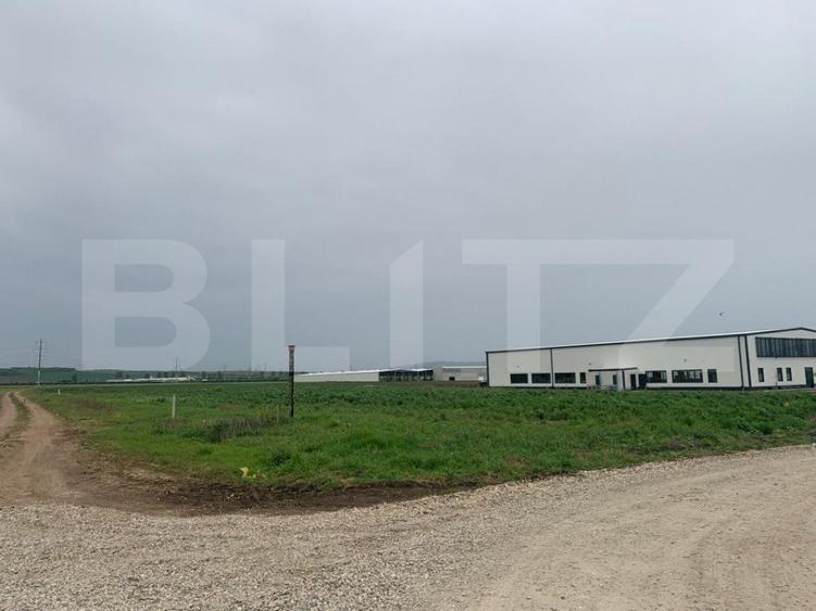 Teren intravilan, 6759 cu PUZ pentru hala, zona Alba-Sebes langa A1