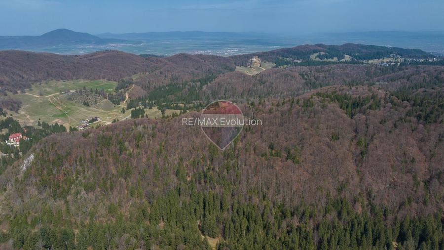 Teren intravilan, 56000 mp, Poiana Brașov - 5