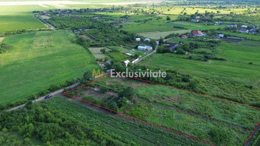 Teren Urlați /Utilitati/ 5.555 mp pe Traseul MARVIN si Drumul Vinului