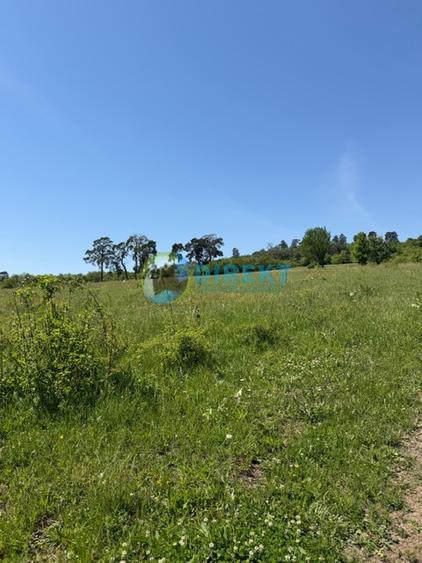 Teren intravilan , zona Drumul Tarpiului .