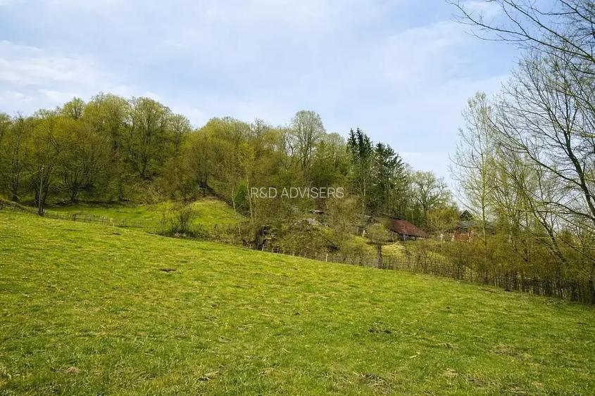 TEREN DE VANZARE  1.688 MP| SULTANU | VISINESTI | DEALURILE SULTANULUI - 3