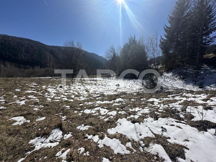Teren extravilan 4600 mp cu acces la rau Satul de Vacanta Dejani