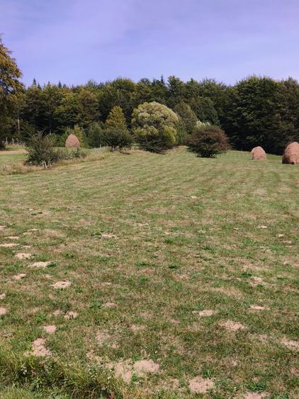 Teren intravilan situat in Traiteni,Valea Doftanei