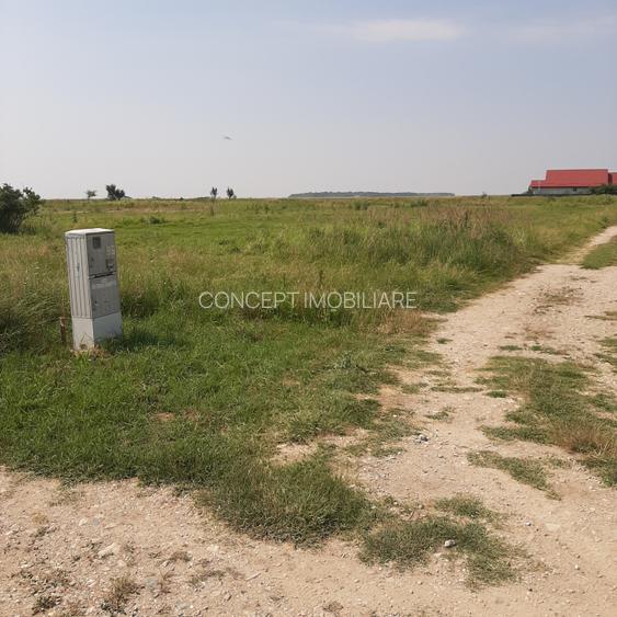 Teren 585 mp, intravilan, in Domnesti catre Teghes, din str. Curtea Domneasca - 11