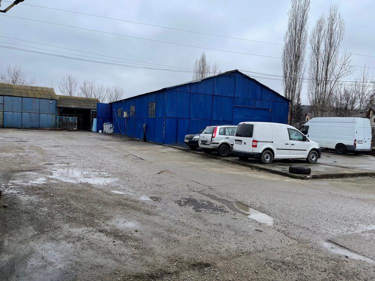 Vand teren cu hale 8.000 mp Sos. Bucium nr. 23