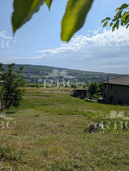 Teren intravilan 4600 mp cu front de 25 m pe strada Odobesti - 7