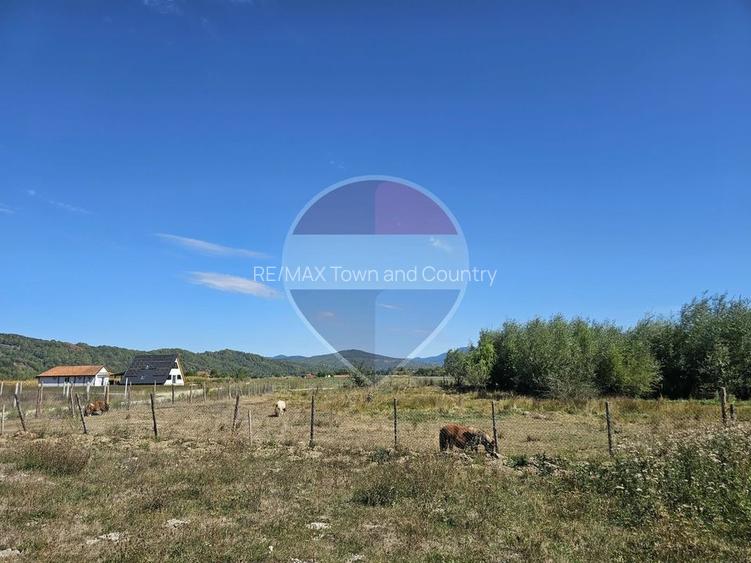 Teren 3,000mp Tisa / Drumul Laga lac - 3