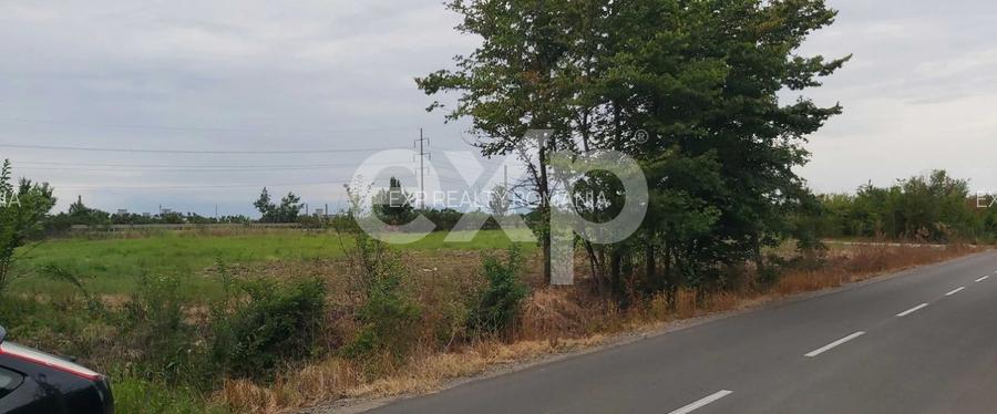 Teren intravilan 4.800 mp – lângă Autostrada Pitești - SuperNova - 3