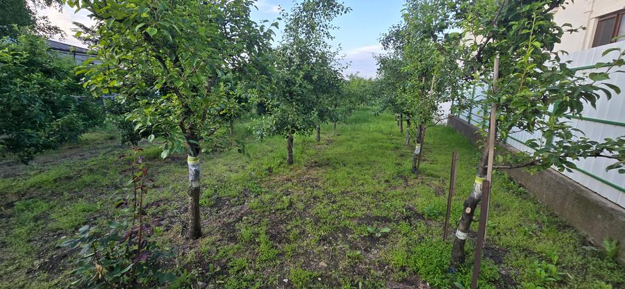 Teren d e vanzare 14000 mp , ultracentral Odobesti