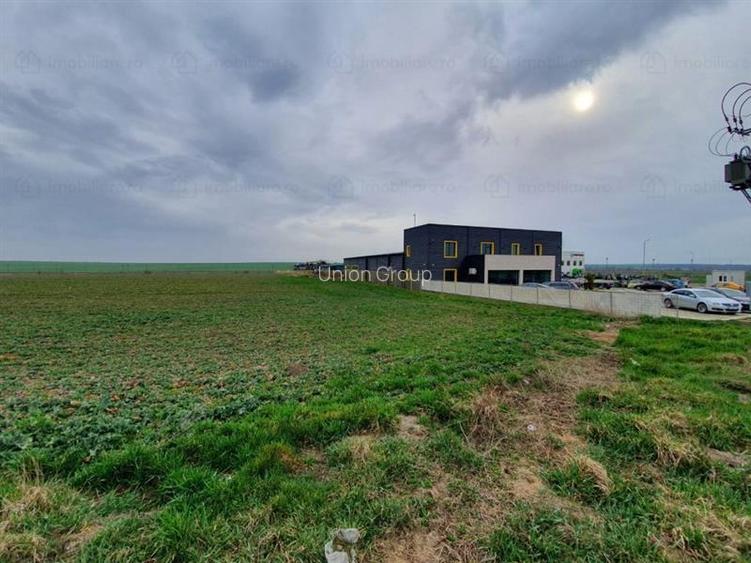 Teren 10000 mp INTRAVILAN Constanta - 3