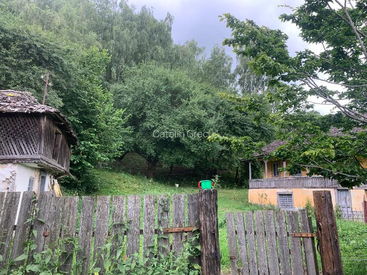 Teren construcție + teren fâneață + livada - 4