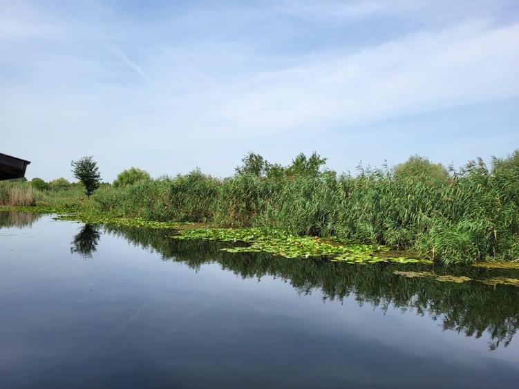 Dimineți pe ponton, seri la piscină – viața la Snagov