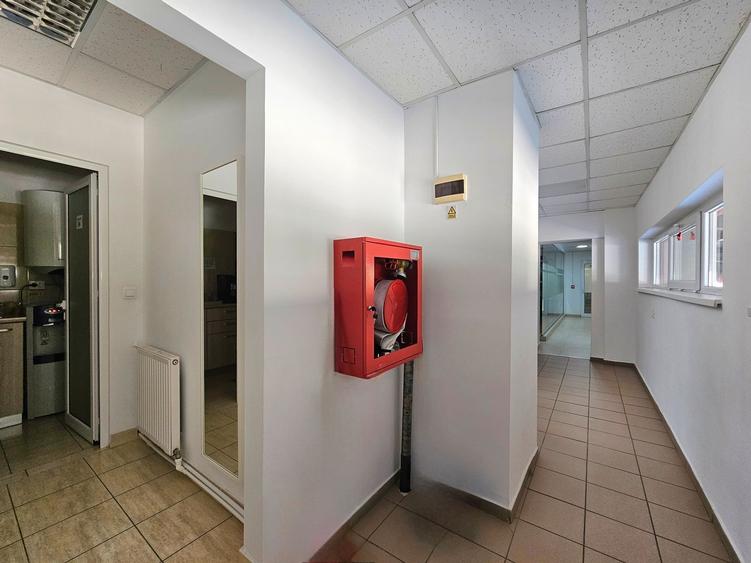 Hale Industriale 5065 mp de vanzare Str. Bradului - Bacau