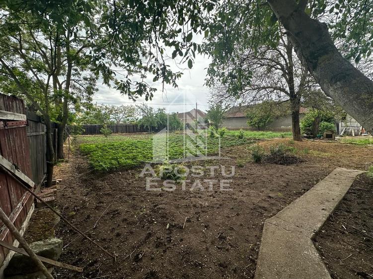 Casa cu teren de vanzare in Zimandu Nou