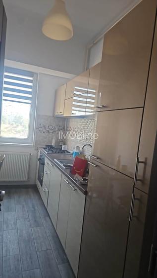 Apartament 2 camere zona Euromaterna mobilat utilat 55 mp - 4