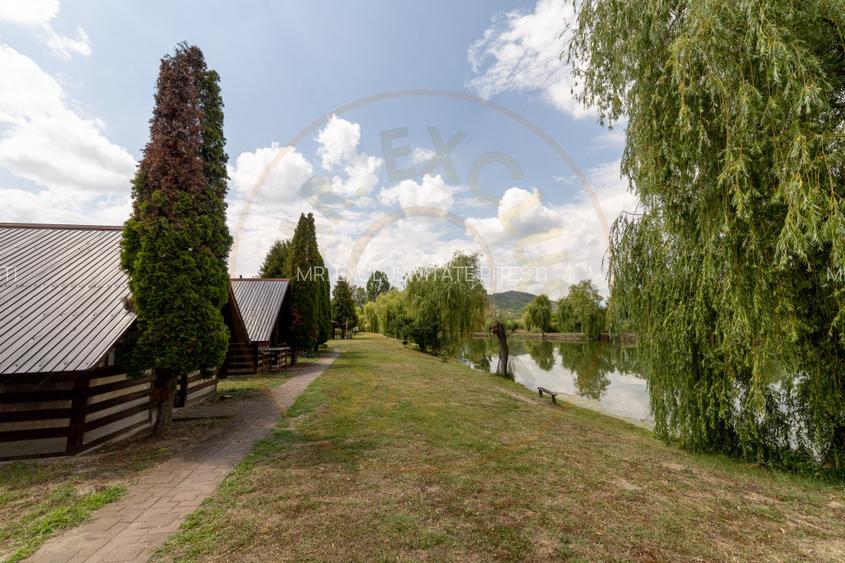 Afacere la cheie - domeniu cu lacuri de pescuit  - Sat Bunești, Com. Malureni - 7