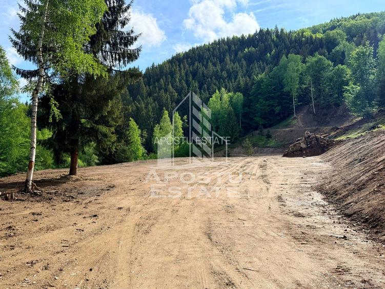 Oportunitate! Domeniu montan, cu lac propriu, oras Lupeni, Hunedoara - 29