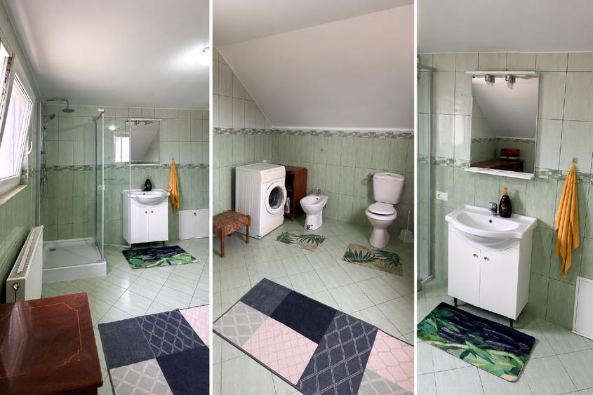Casă tip vila, spațioasă P+M, 3 dormitoare,toate utilitatile Culciu Mare