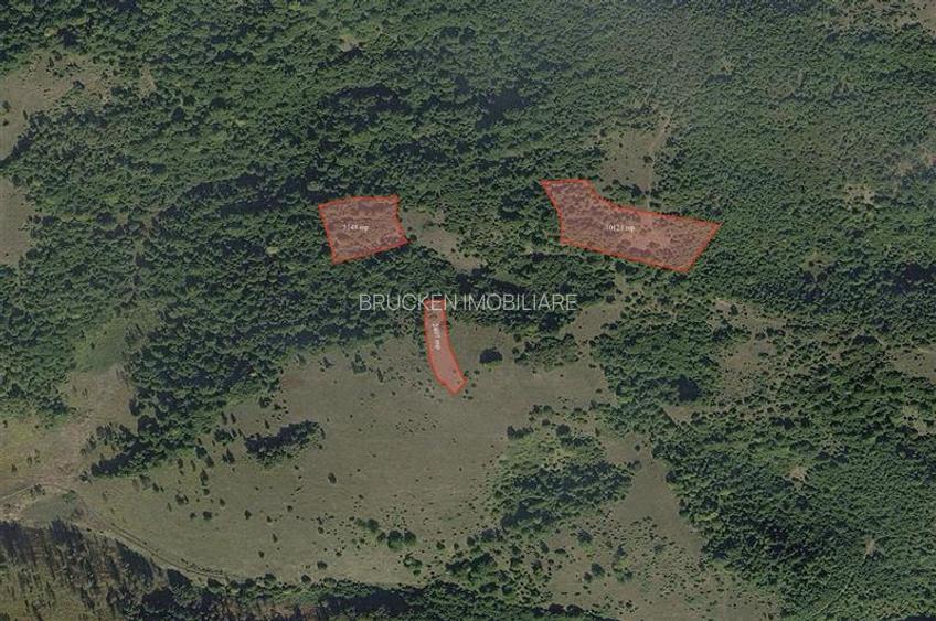 Portofoliu funciar de peste 10 hectare | Izbuc - Carpinet | Jud. Bihor - 5