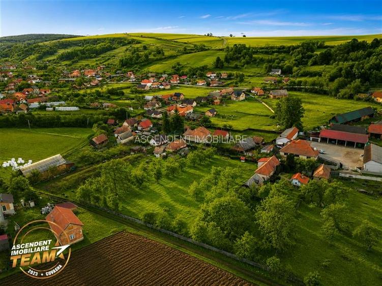 FILM! 5.000mp teren intravilan cu casuta rustica, Dalnic, Covasna - 15