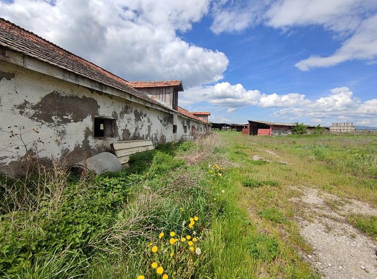 Teren parcelabil, 4,1 Ha, Brașov - Bod. Negociabil!