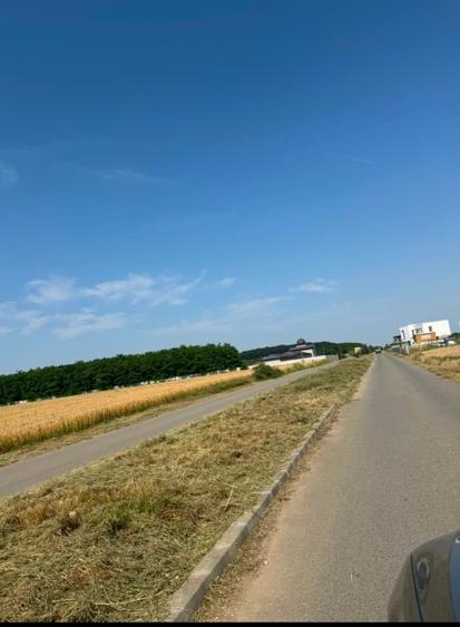 Loturi de vanzare la padure in Corbeanca!