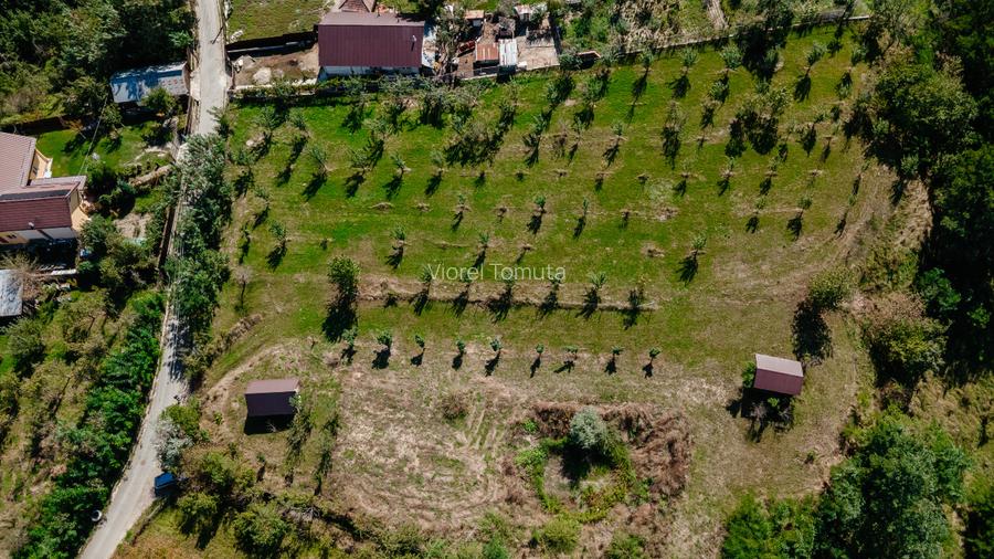 Teren cu suprafața de 5100mp amplasat într-o zonă superbă de munte - 7