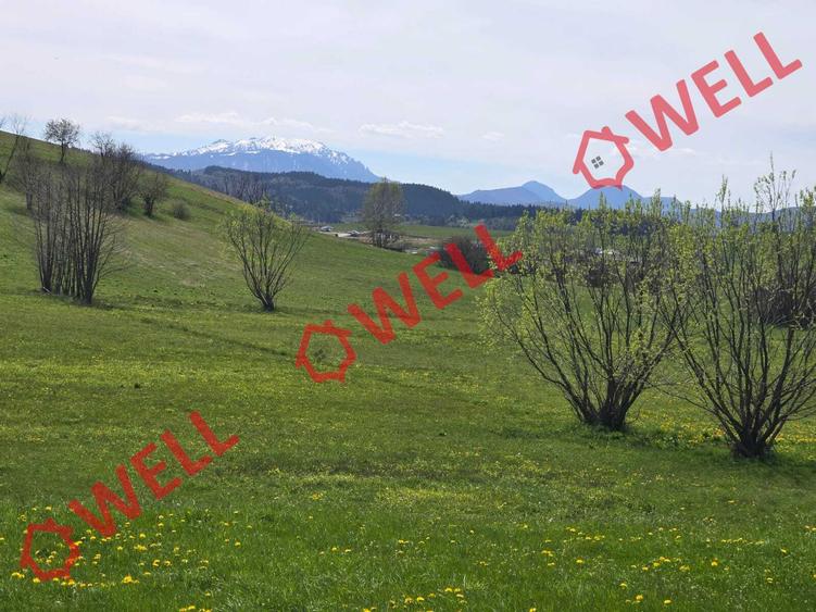 De vânzare teren extravilan în Sărămaș!