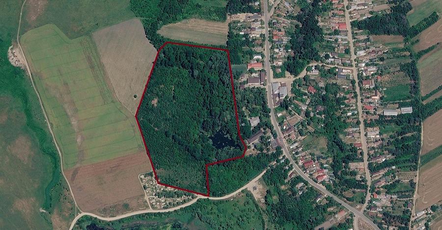 Giurgiu,Izvoru Vânatorii Mici,Domeniu privat de 6,3 H cu Lac, Izvoare și Insulă