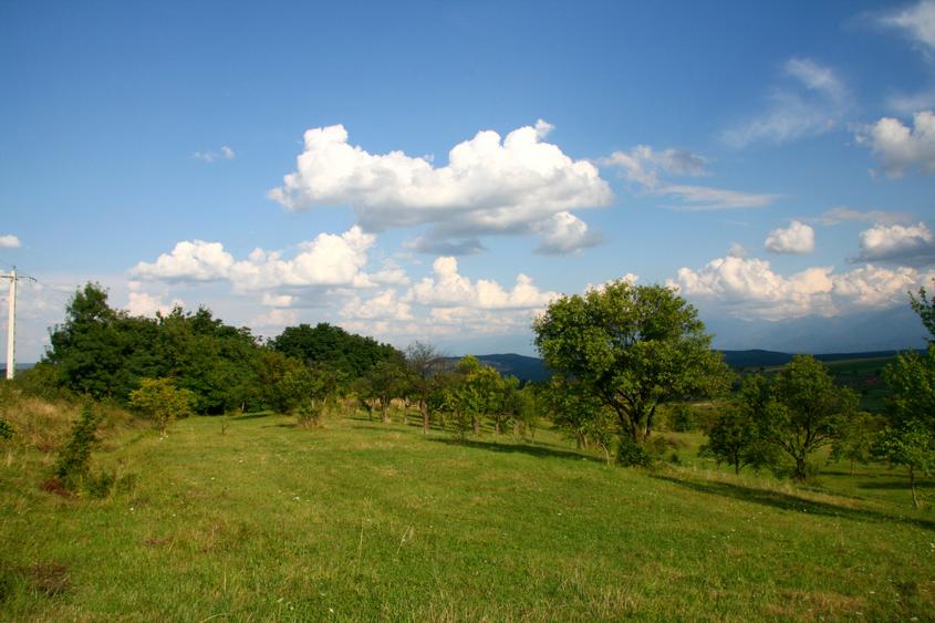 Teren extravilan de vânzare | 600 mp | Daia Nouă