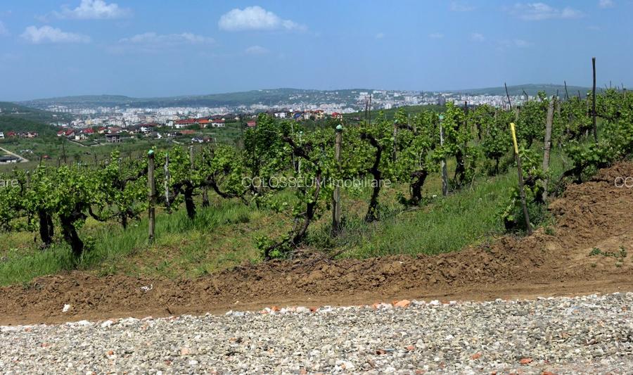 Teren de vanzare,  la 1,3km de LIDL Bucium, vecinatate cartier Panoramic - 5