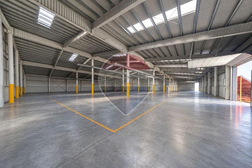 HALA BRASOV 2.953 mp construiti | 6.074 mp teren | 80 ml front la DN13