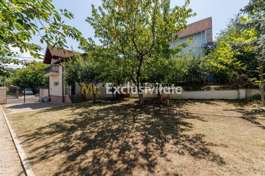 Proprietate multifunctionala | Doua cladiri | 581 mp | Pitesti - 30