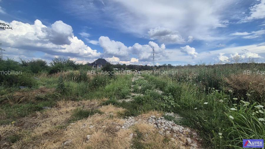 Teren Casa 800 mp in Magurele la 2 Pasi de Bucuresti - 4