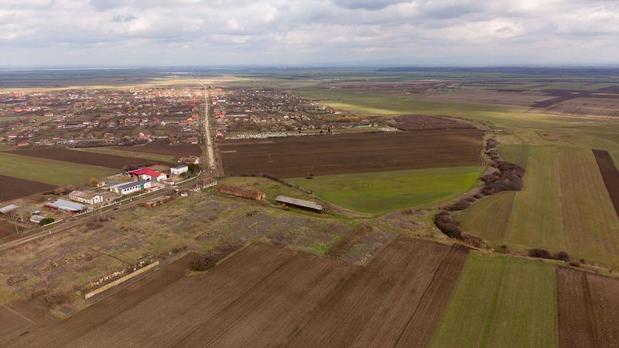 Fermă cu teren intravilan de 35000 mp în Mișca