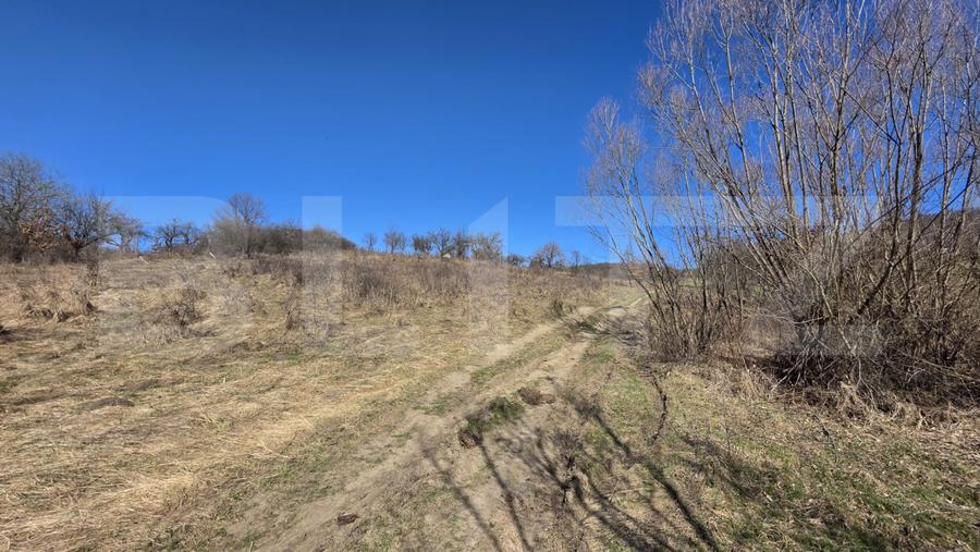Teren de vanzare de 8,567MP in zona: Tarpiului