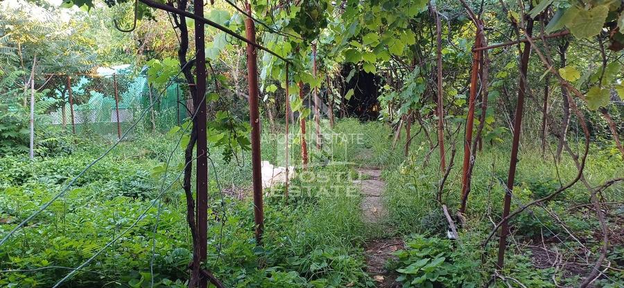 Casa din caramida de vanzare Freidorf Timisoara - 10