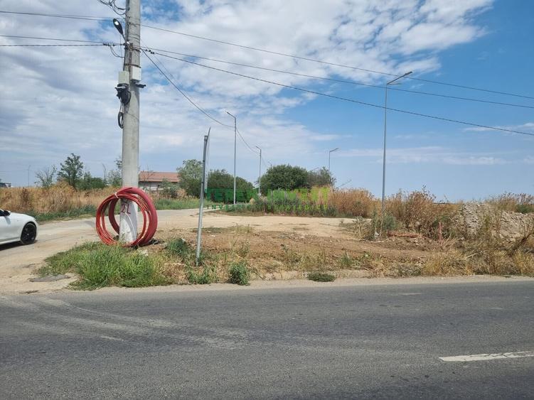 TÂNGANU / CERNICA  - TEREN INDUSTRIAL 5.000 MP
