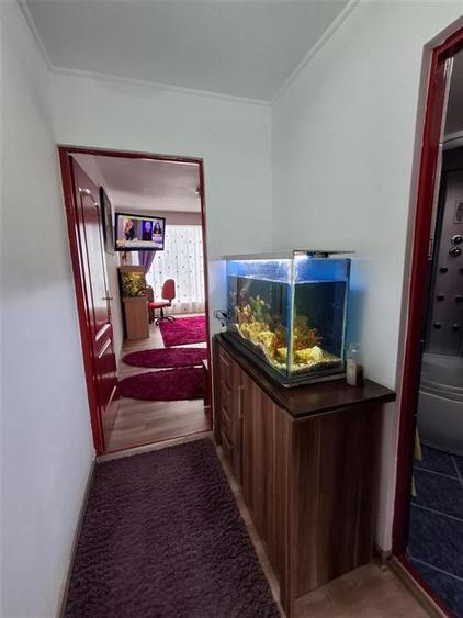 Apartament cu o camera 50mp gradina parcare zona Terezian